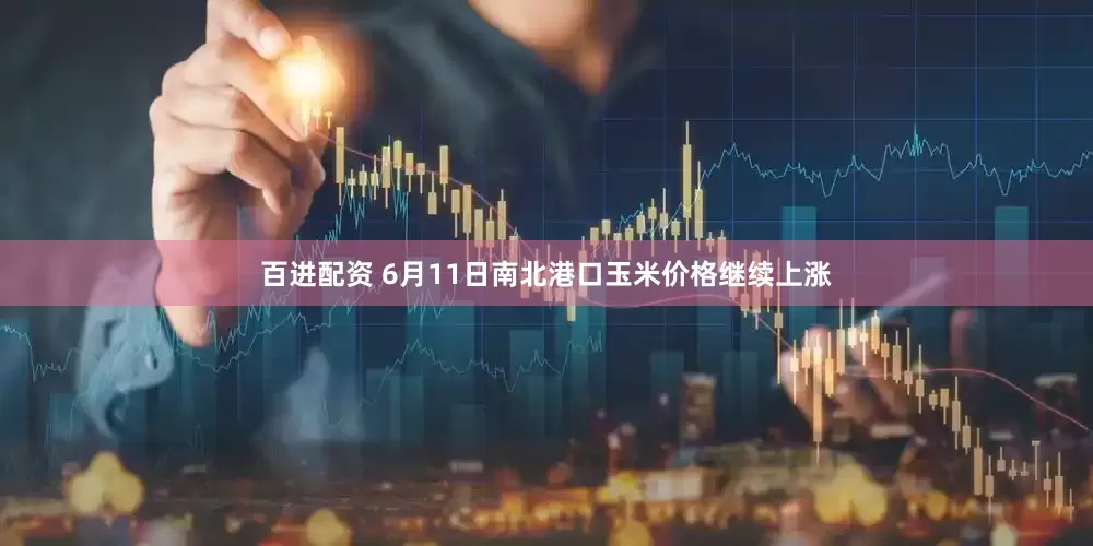 百进配资 6月11日南北港口玉米价格继续上涨